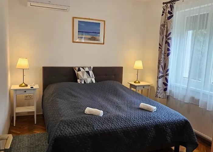 Adri Zalakaros